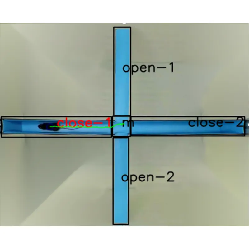 Paaugstināts Plus labirints
